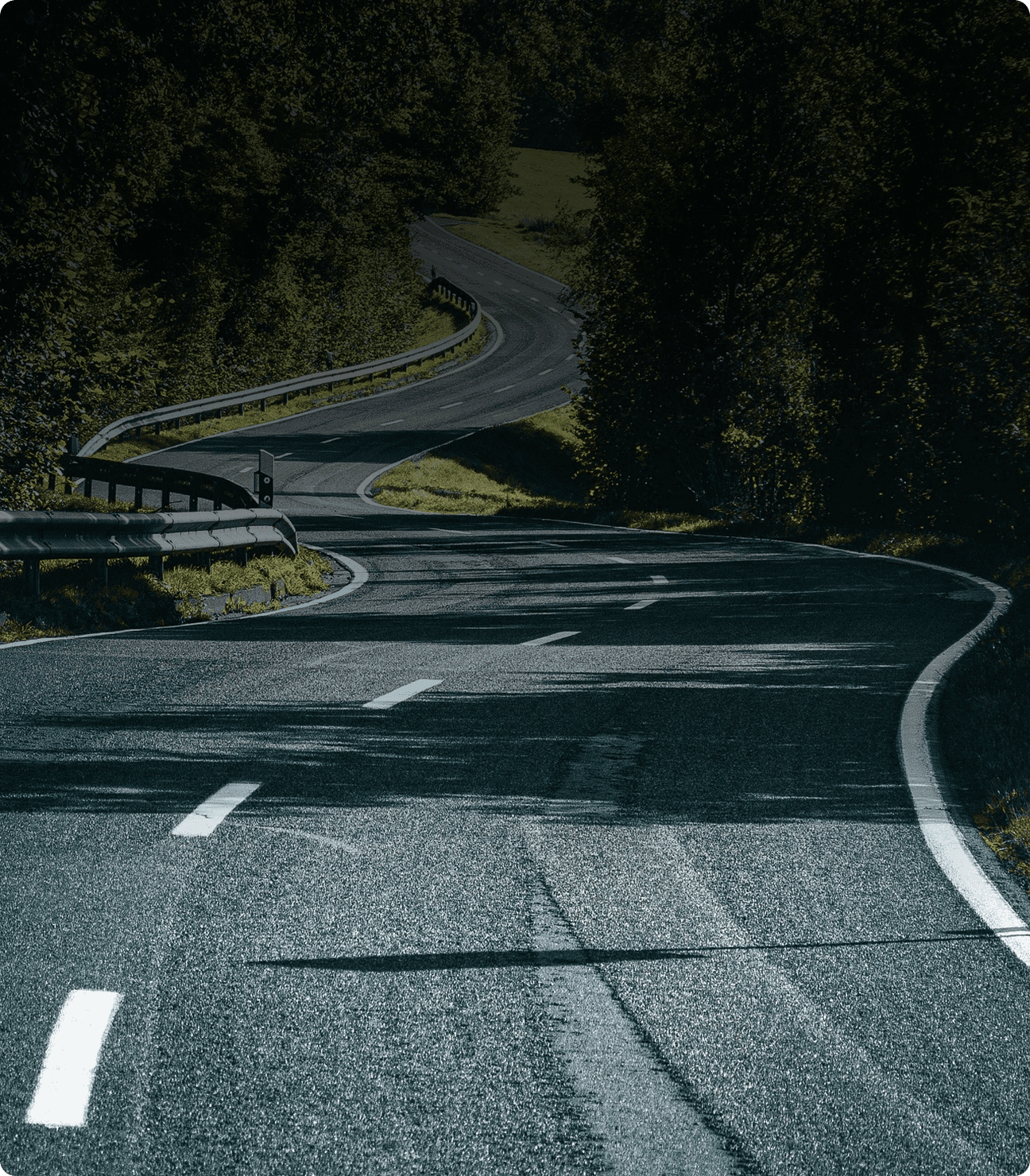 로드인 무브먼트